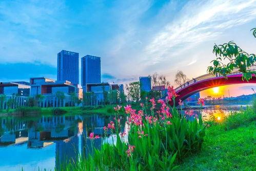 成都天府新区最新爆料,未来城市蓝图揭秘，区域发展新篇章即将开启