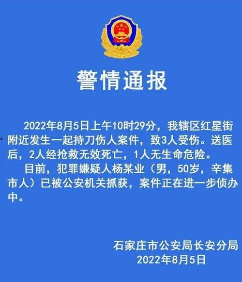 石家庄高三爆料案件最新,揭秘校园疑云背后的真相