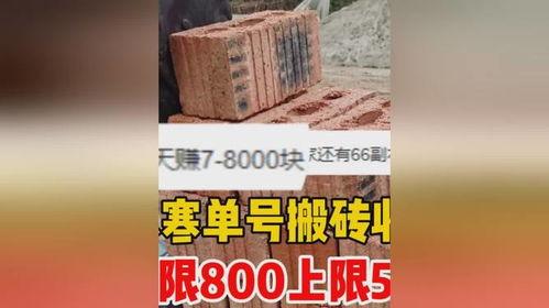 最新搬砖收益爆料,揭秘行业新动向，揭秘搬砖收益新高峰