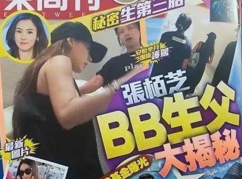 三胎生父爆料视频大全最新,揭秘背后惊人真相