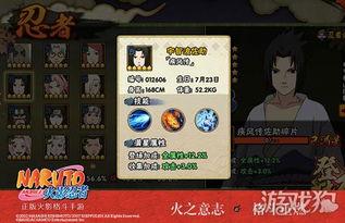 影忍者最新爆料,神秘忍者组织浮出水面，暗流涌动引众瞩目