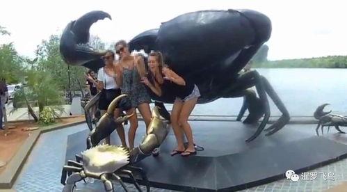 泰国游客爆料视频大全最新